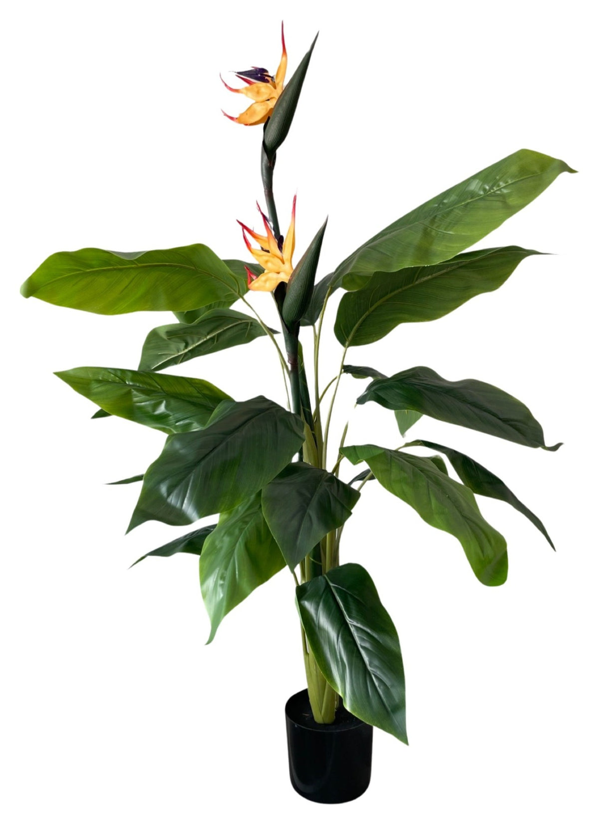 Artificial Strelitzia Plant w/flowers (Height: 1.20m)- PTR0137