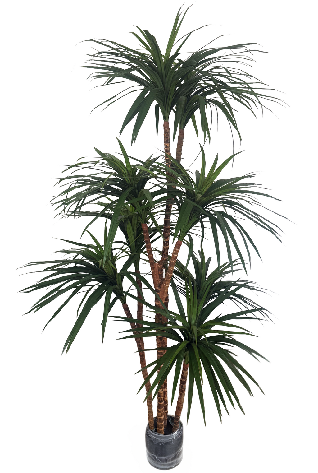 silk dracaena plant Artificial Dracaena Marginata (Height: 1.20m/ 1.50m/ 1.90m) – S.K Optimus