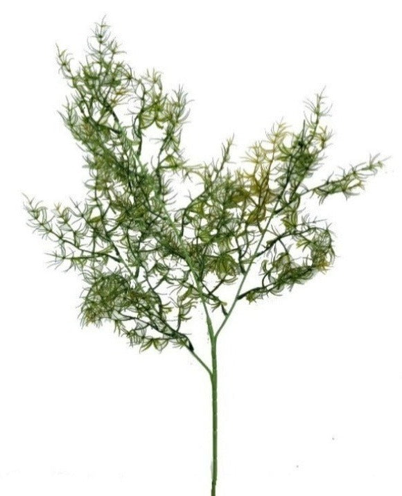 Green Asparangus Branch (Length 80cm) - FBR0034