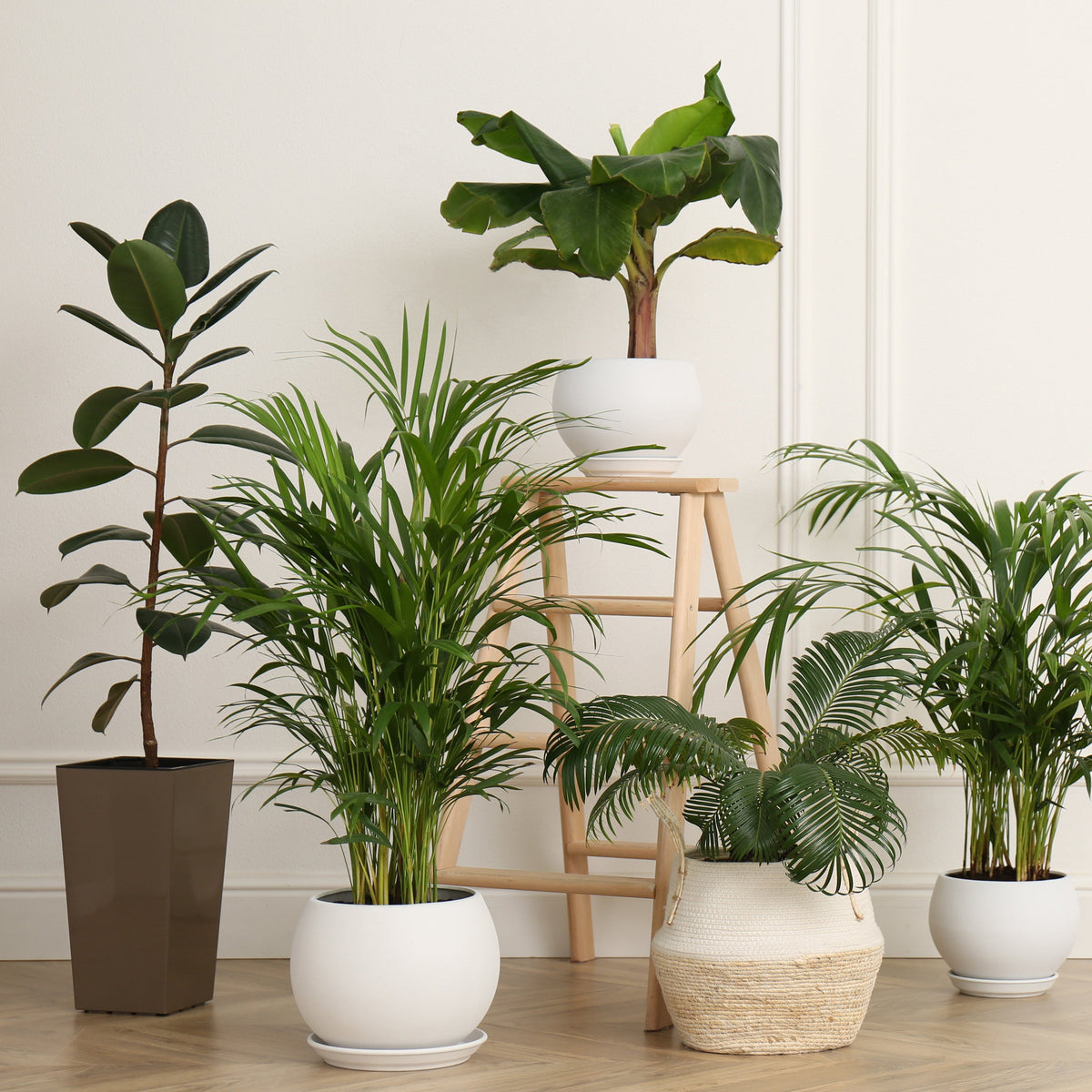 Realistic Artificial Plants & Trees