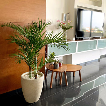 Realistic Artificial Plants & Trees