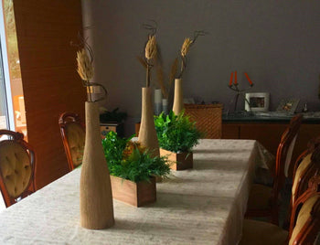 Small plants for table tops