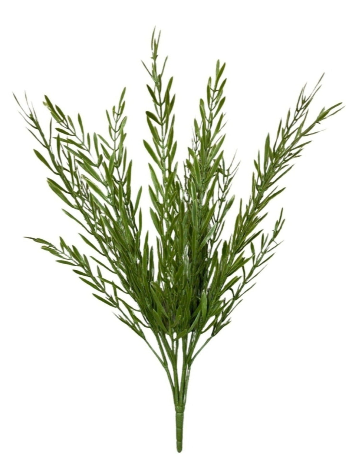 Rosemary Branch (Length 40cm)- FBR0061