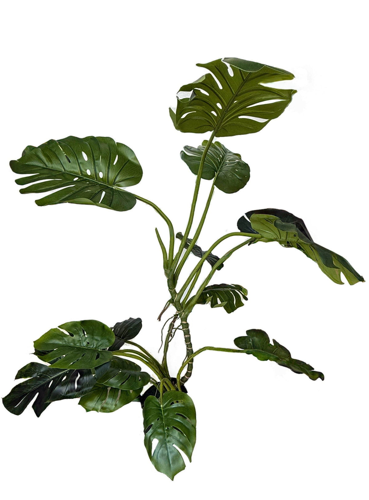 plastic monstera plant Artificial Monstera Plant Wide| PTR0157 – S.K Optimus