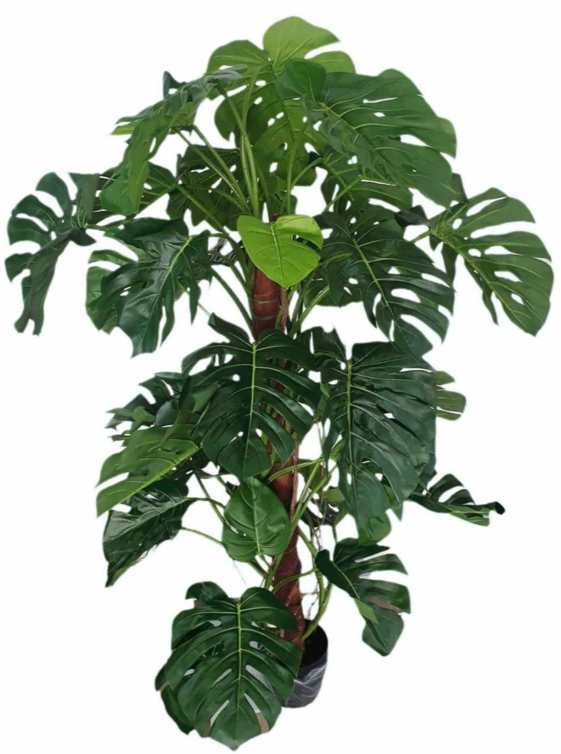 Artificial Monstera Deliciosa Plant (Height: 160cm & 200cm)