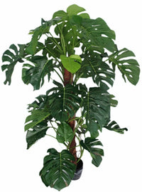 Artificial Monstera Deliciosa Plant (Height: 160 cm) - QPECSN