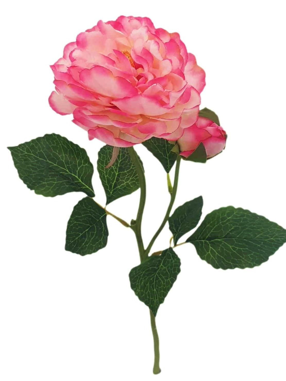 Peony Flower - (62CM) | FLR0006