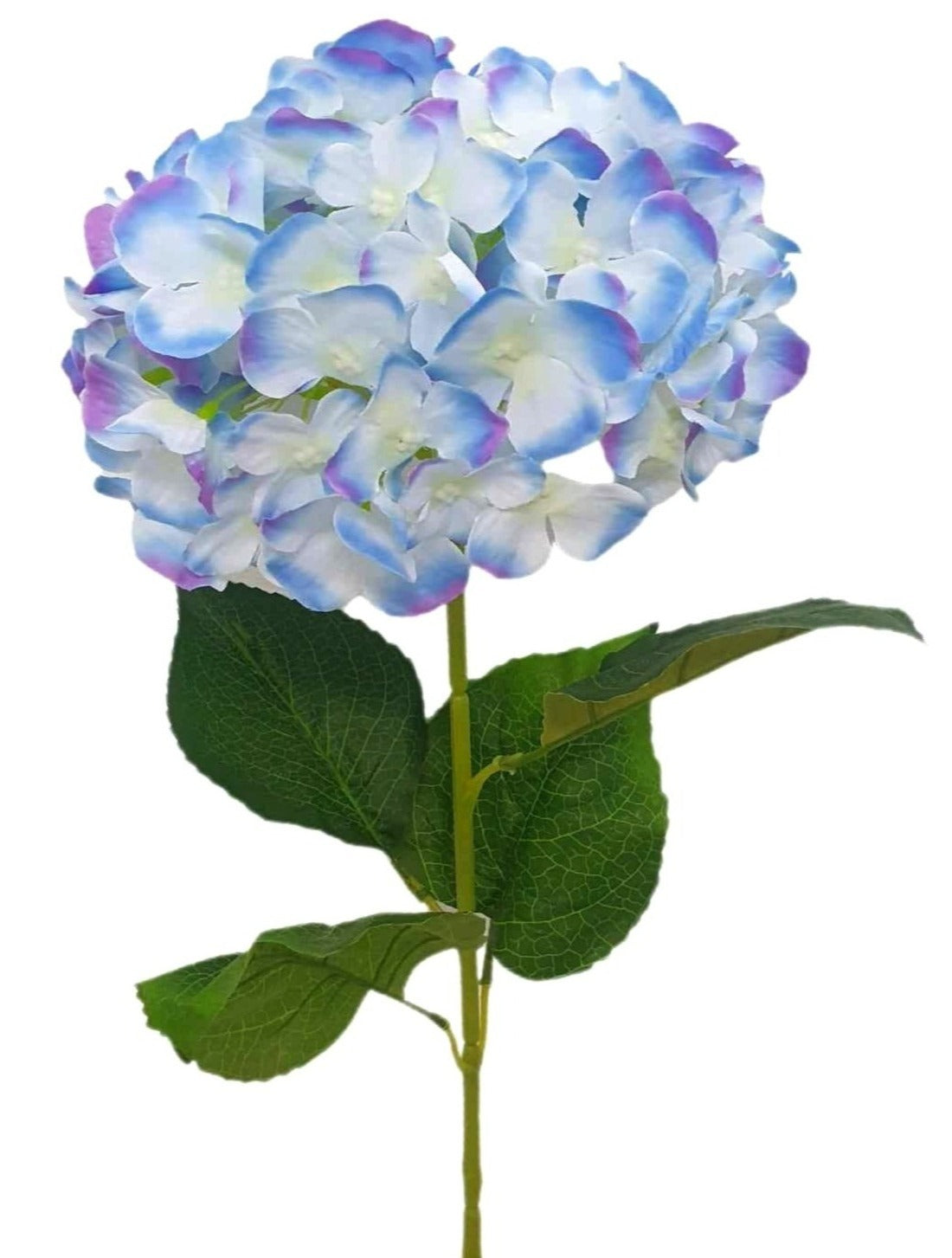 Hydrangea Single Flower- (76CM) | FLR0013