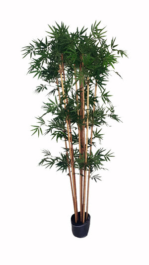 Artificial Japanese Bamboo (160cm) - PTR0134