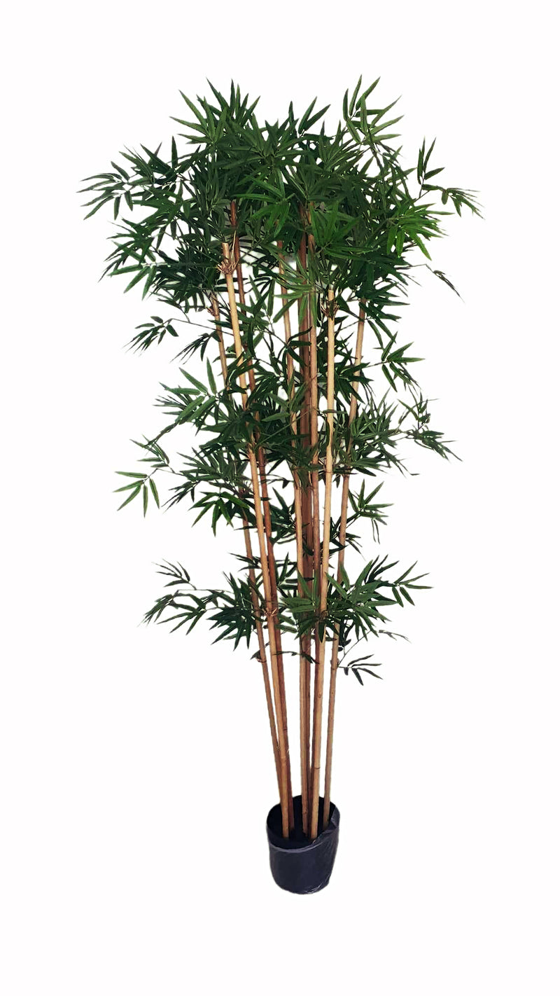Artificial Japanese Bamboo (160cm) - PTR0134