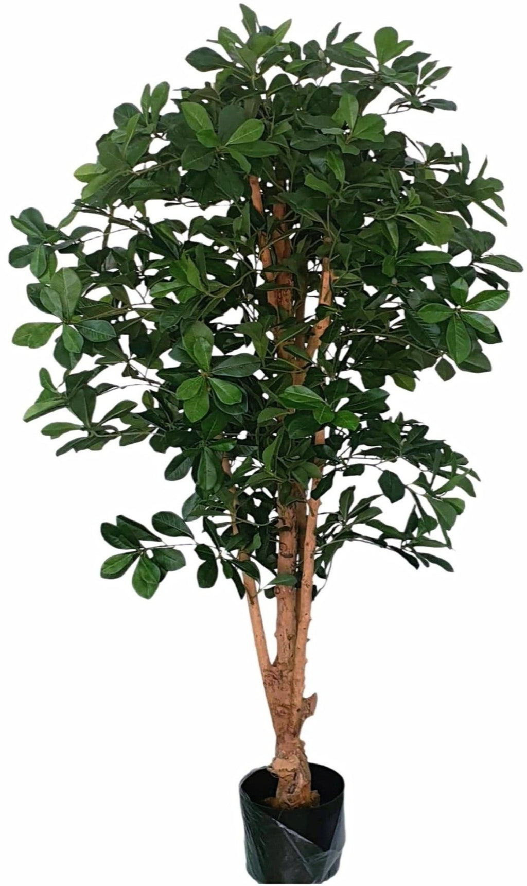 Artificial Olive Bonsai Tree (Height: 1.40m) -PTR0135
