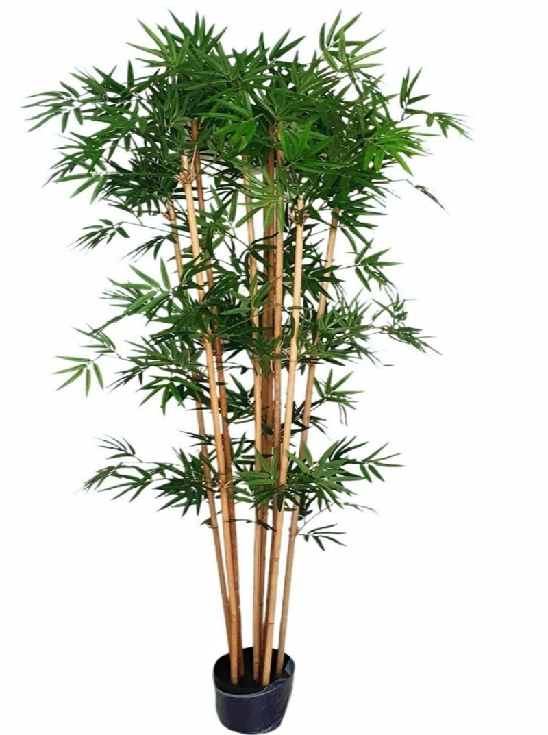 Artificial Japanese Bamboo (160cm) - PTR0134