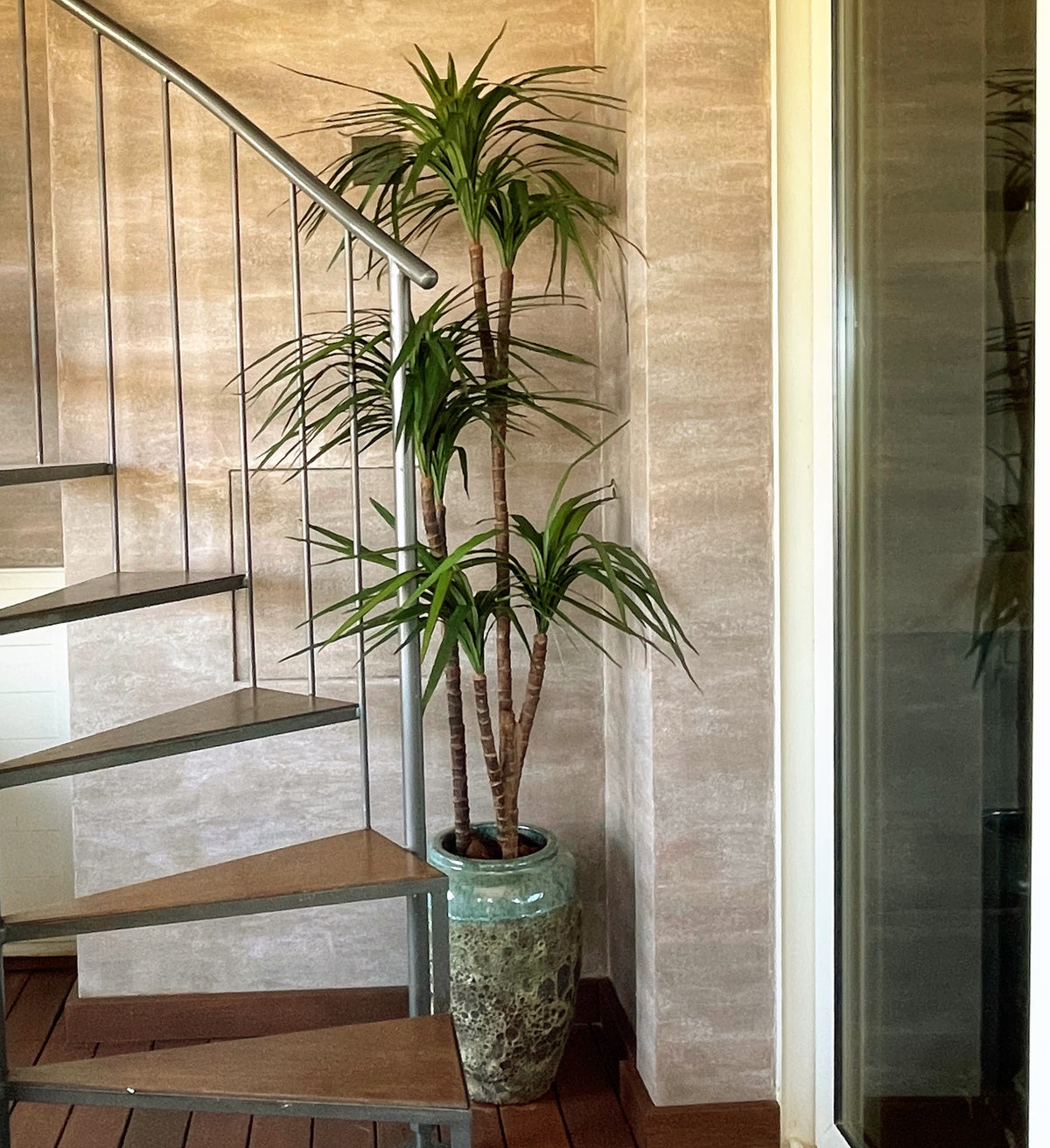 dracaena marginata artificial Artificial Dracaena Marginata (Height: 1.20m/ 1.50m/ 1.90m) – S.K Optimus