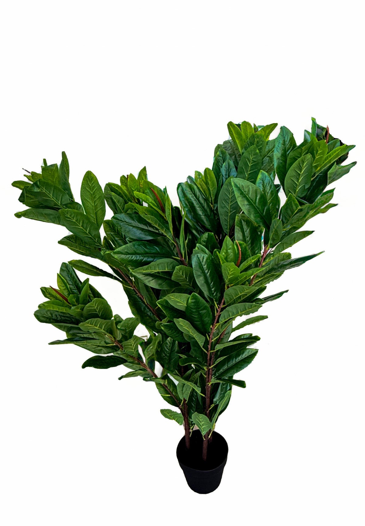 Artificial Magnolia Tree | PTR0161