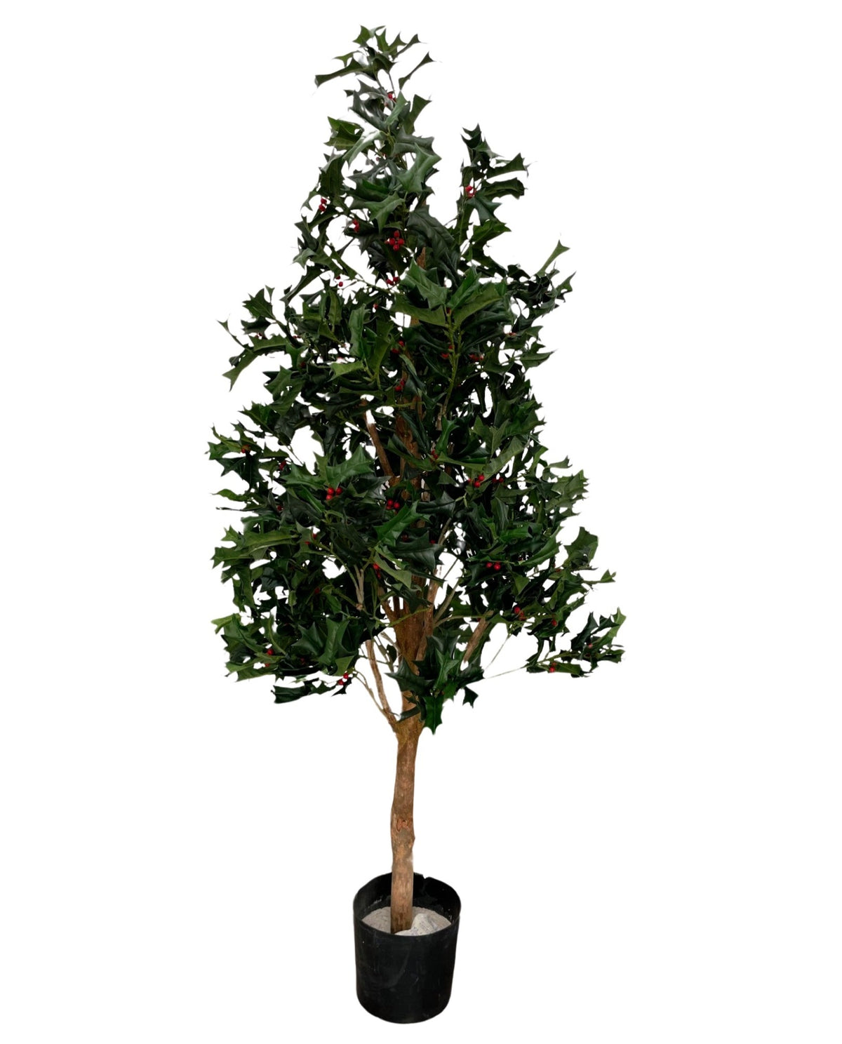 Ilex Tower Tree (Height: 1.45m) - HLEAWA4-1026