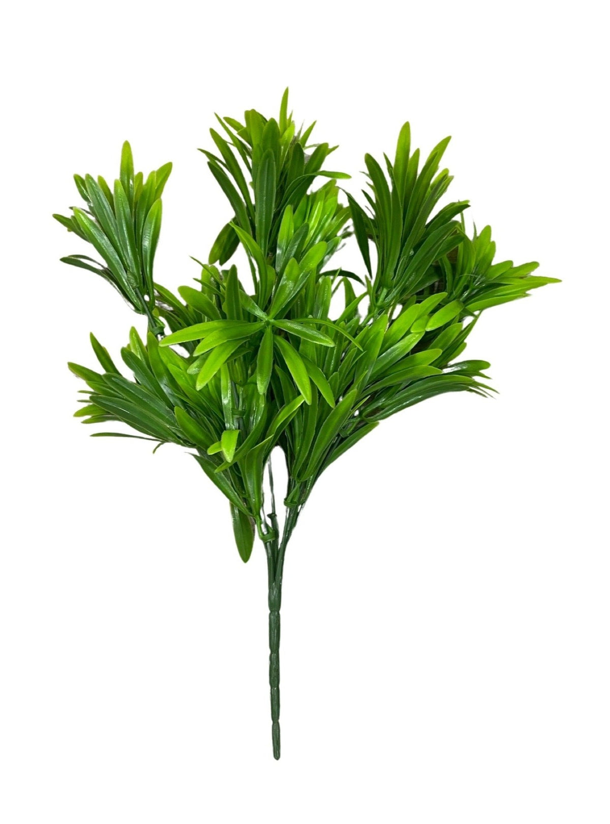 Podocarpus Branch-(Height: 30cm)- FBR0060