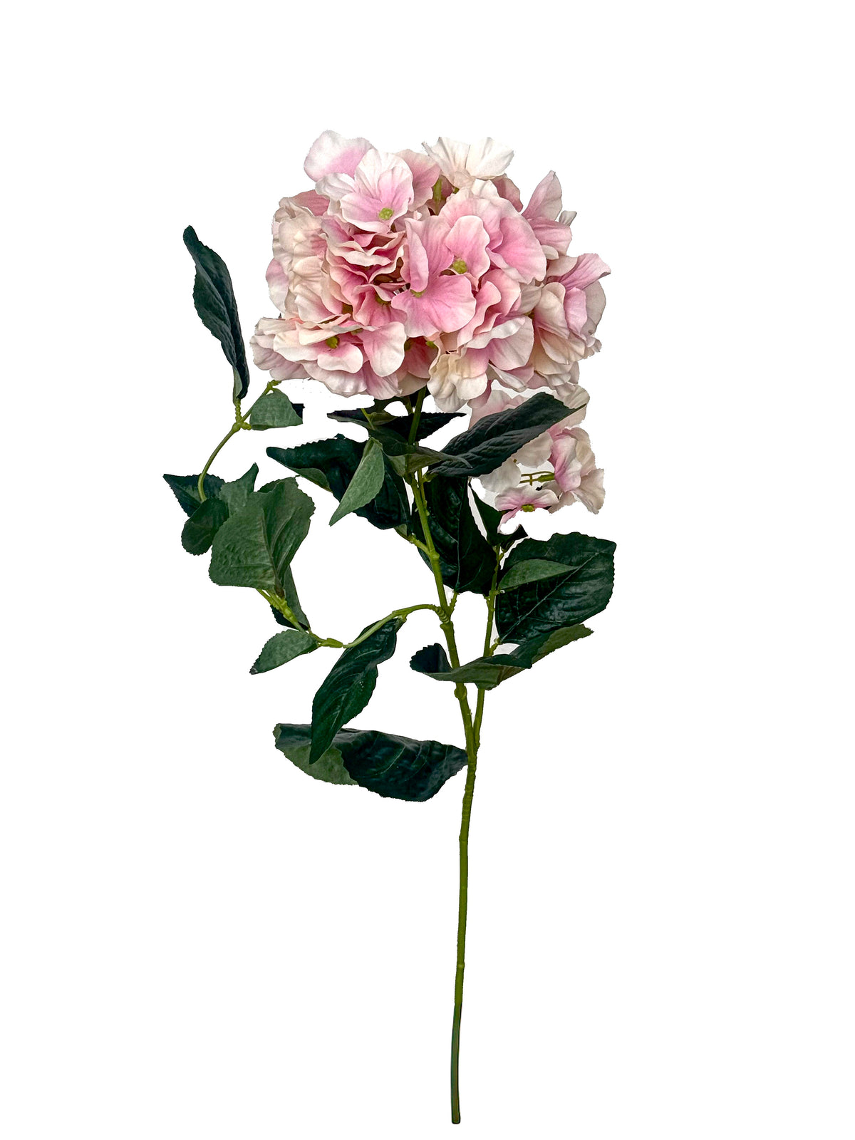 Hydrangea Multi-Branch Flower| Pink