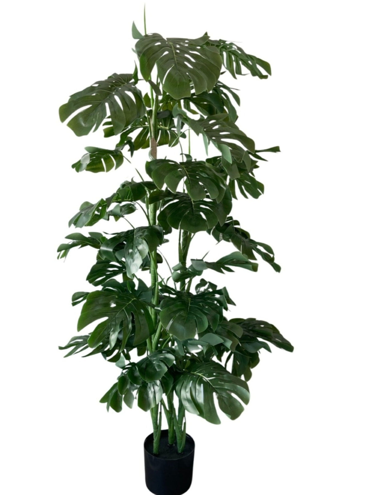 Artificial Monstera Plant (Height: 150cm) - PTR0054