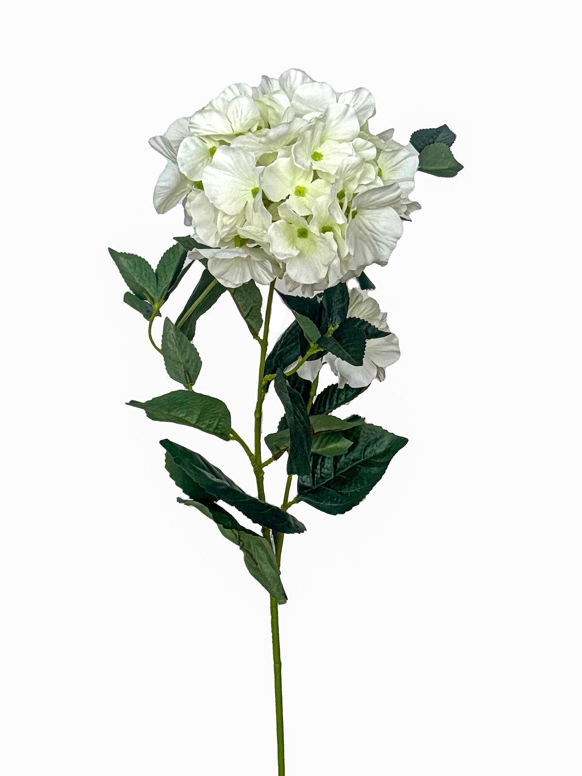 Hydrangea Multi-Branch Flower| White