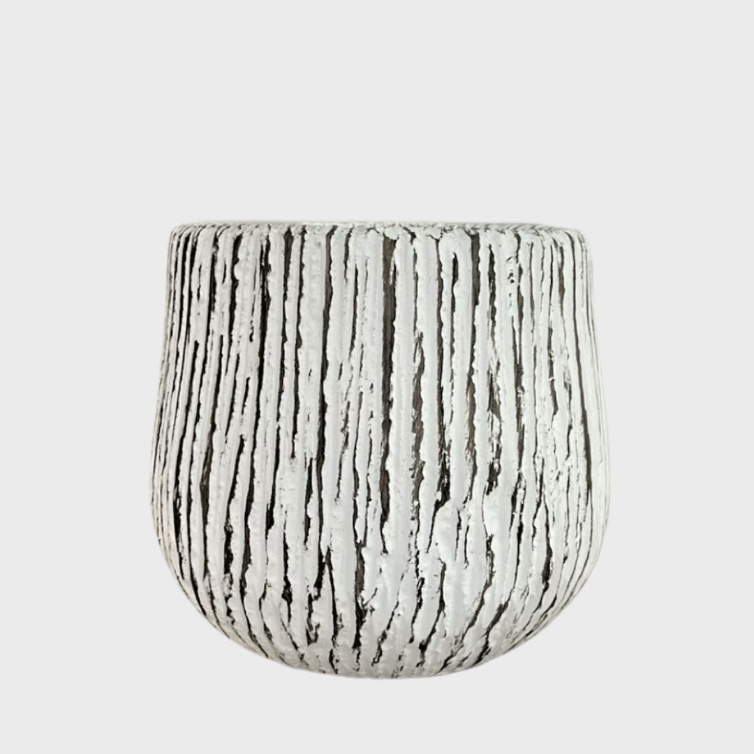 PLANTER WHITE WITH DARK LINES - FBG0016| FBG0017