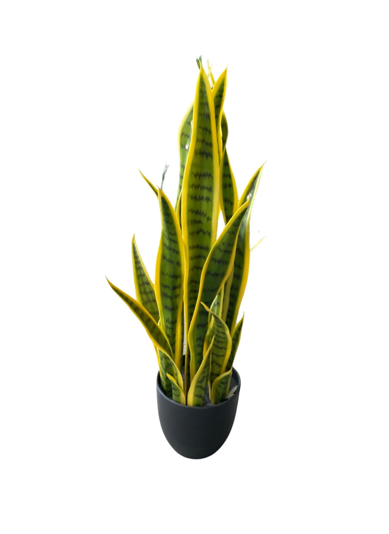 Artificial Sansevieria snake plant (Height:70cm) - AL15154