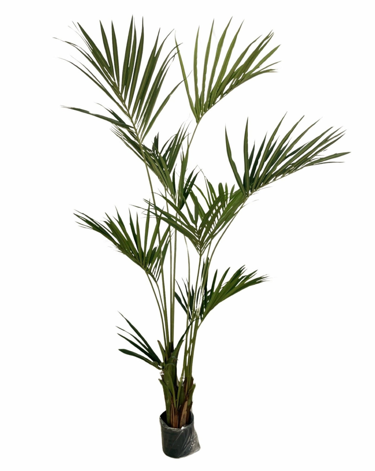 Artificial Kentia Palm (Height: 1.10m & 1.70m) - KEECXP
