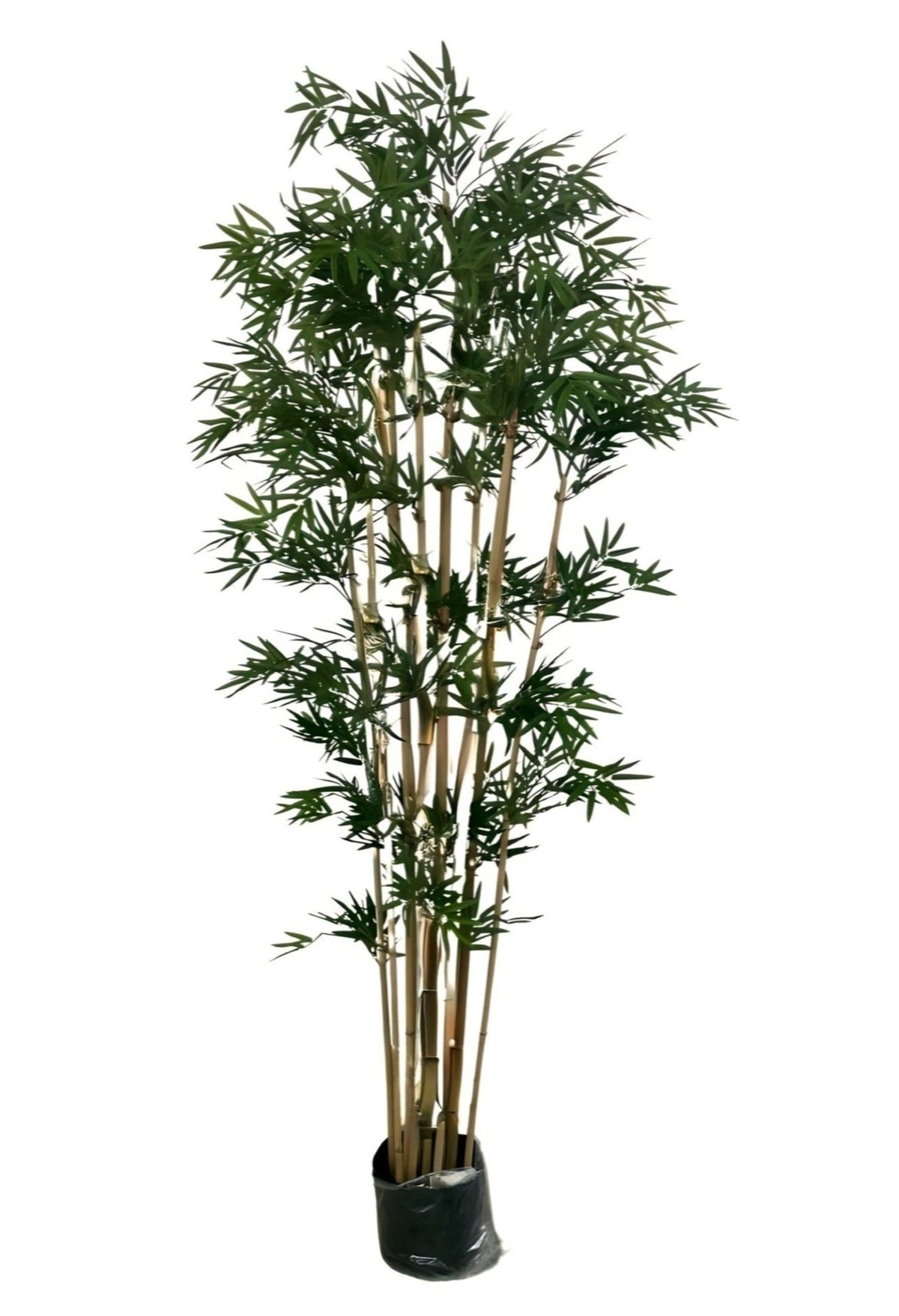 Artificial Japanese Bamboo (200cm) - PTR0100