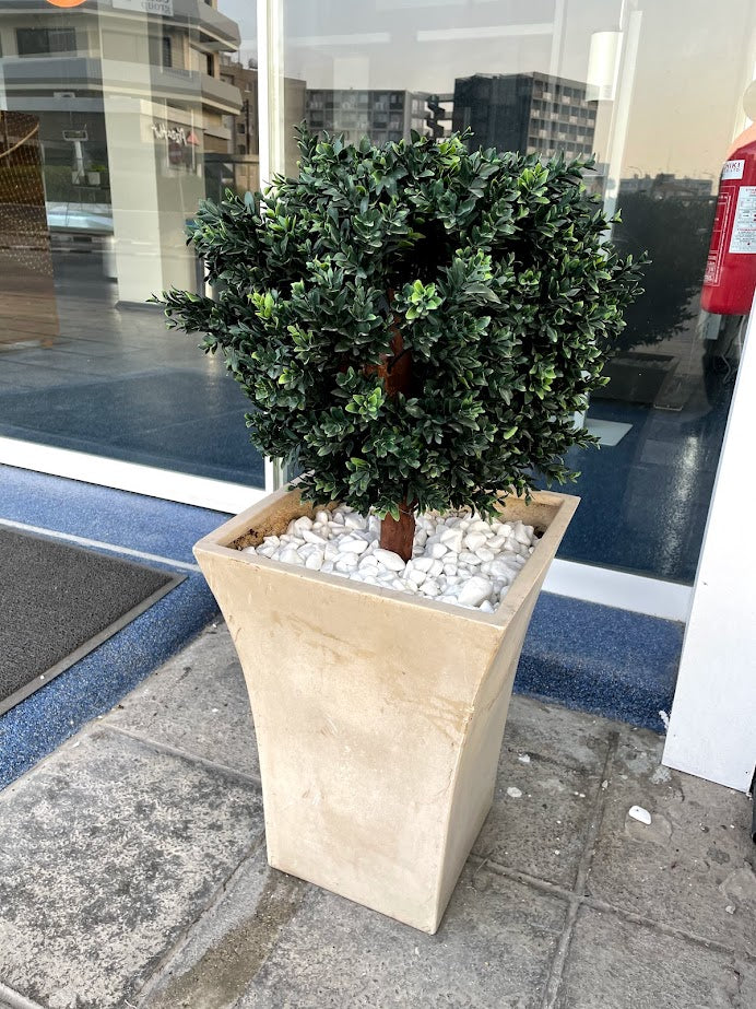 Artificial Boxwood Plant (Height: 60cm) - NAL19-0100