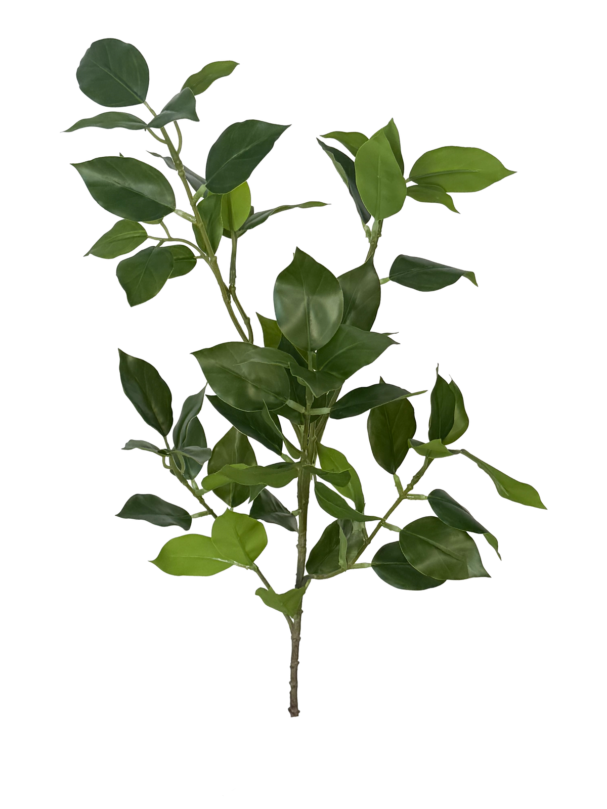 Artificial Ficus Branch Green (Height:80cm) - FBR0078
