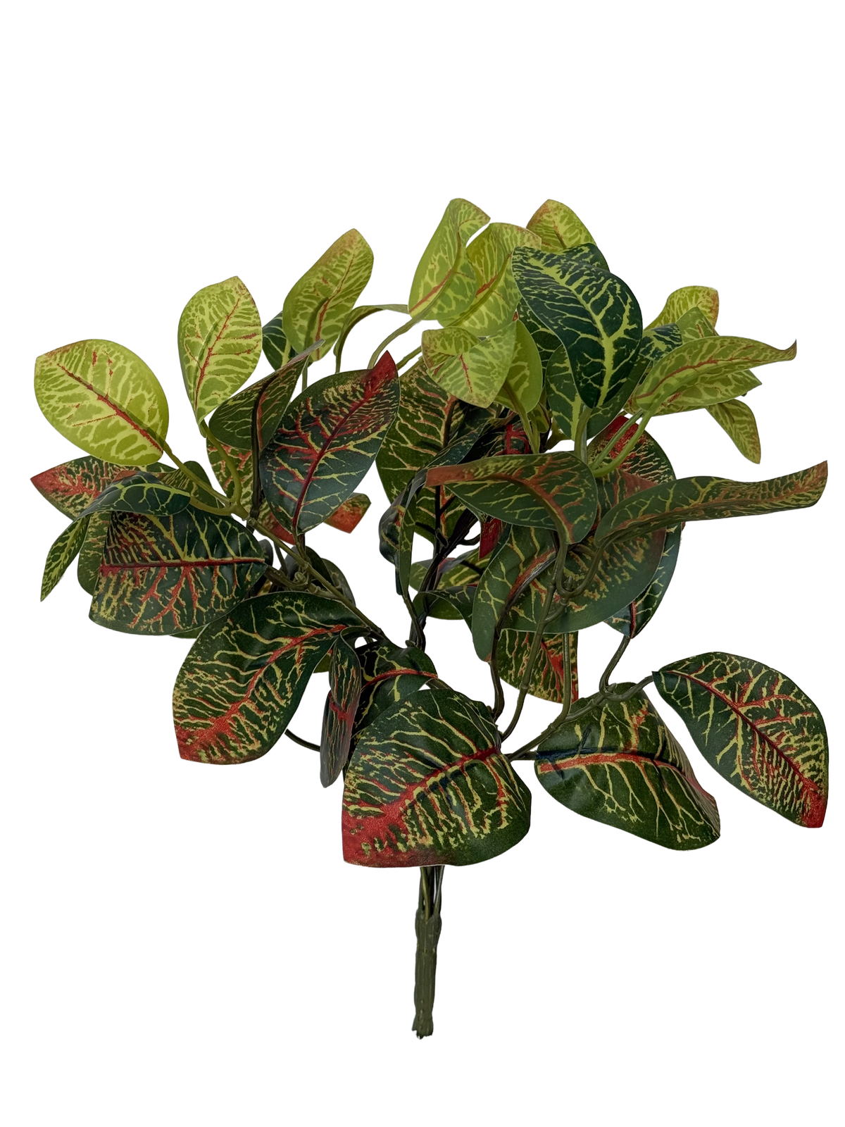 Begonia Branch x7 stems- FBR0076