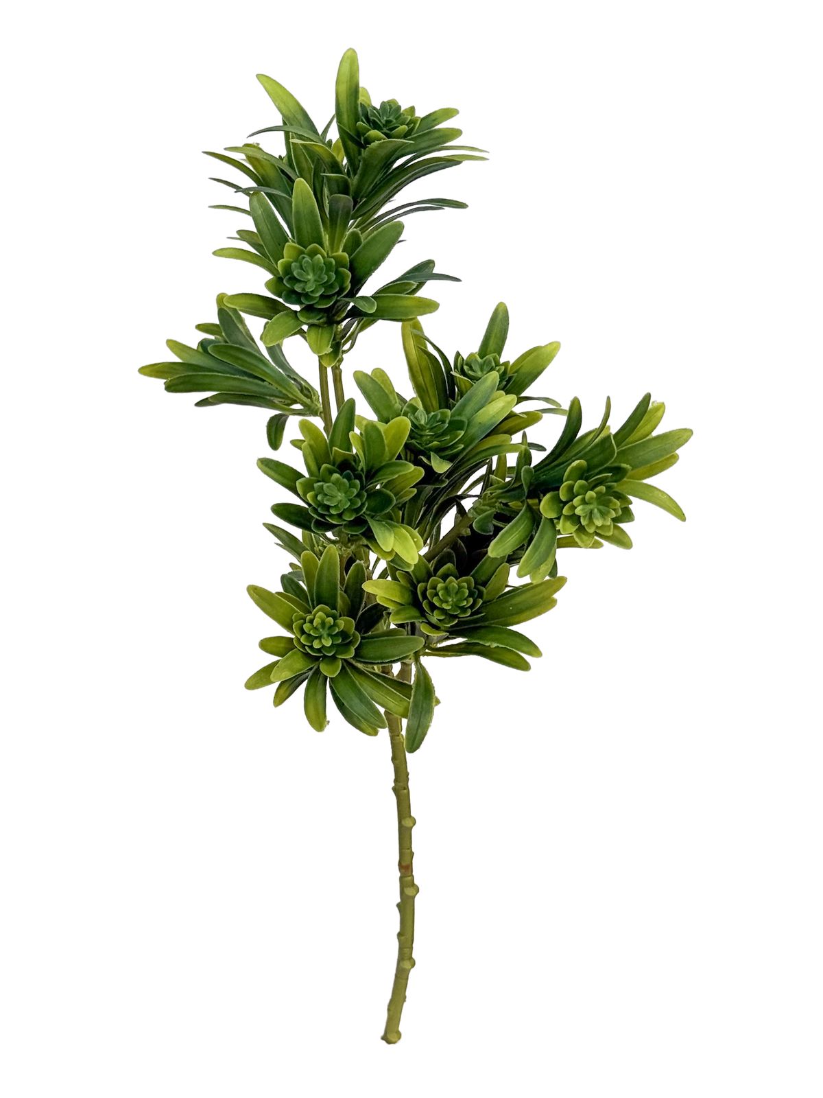 Artificial Podocarpus Branch (Height: 56cm)- FBR0068