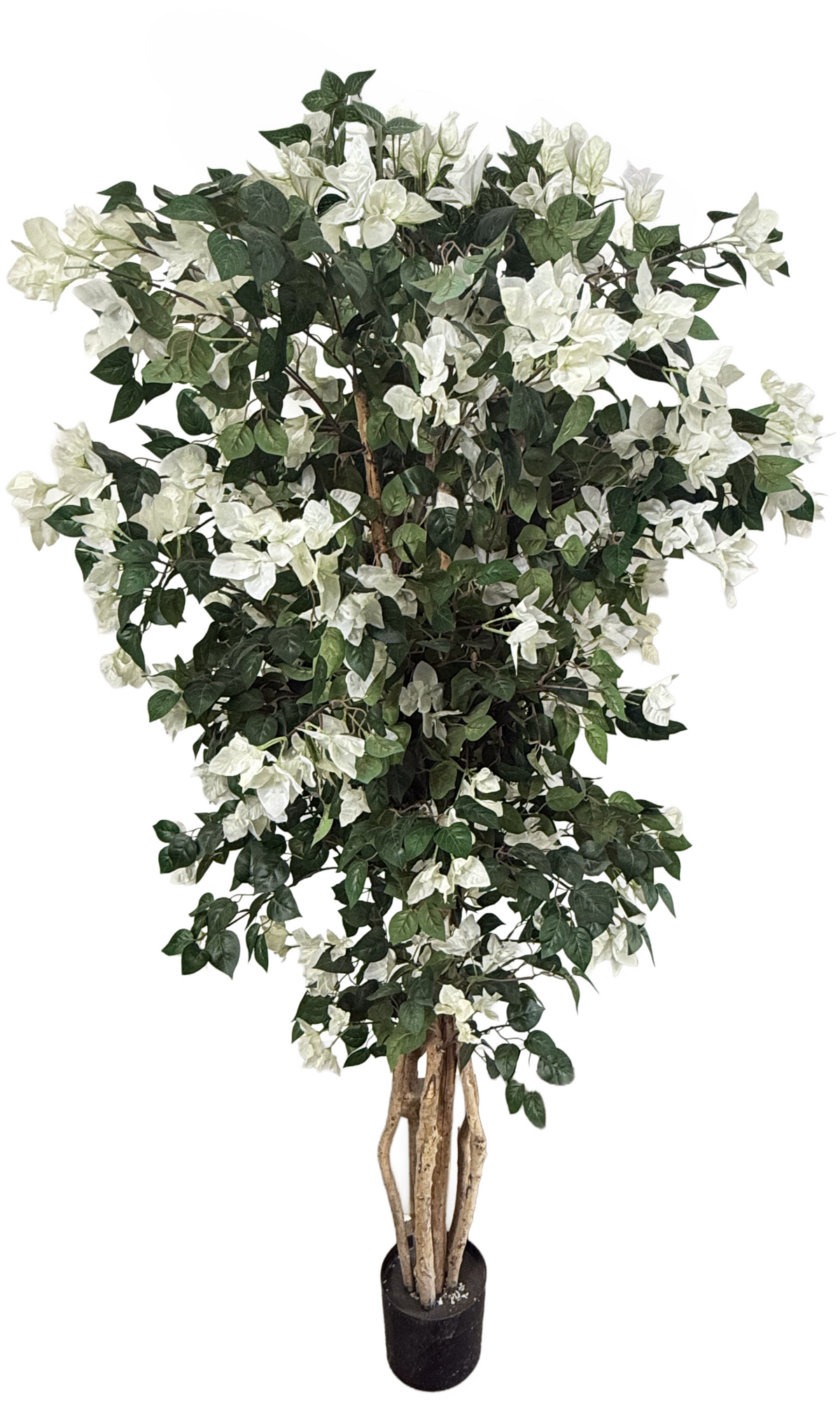 Τεχνητό Δέντρο Μπουκαμβίλιας (180cm) Λευκό χρώμα - 25011-180