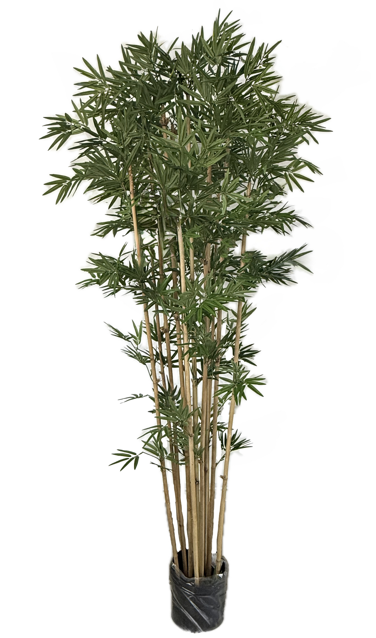 Artificial Japanese Bamboo (200cm) - PTR0100