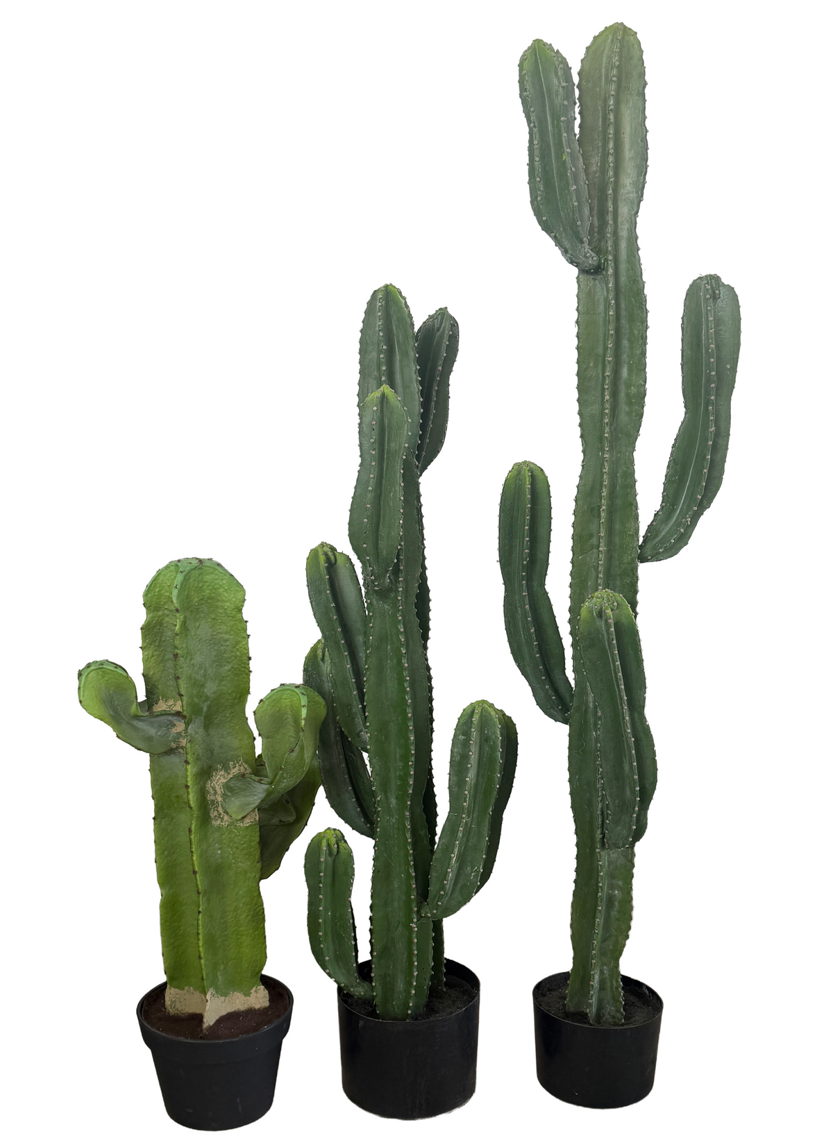 plastic cactus plant Artificial Cactus (Height: 80cm, 120cm, 155cm) – S.K Optimus