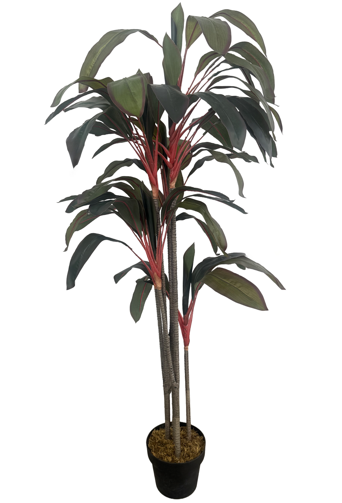 Artificial Dracaena Plant (Height: 165cm) - AL15007