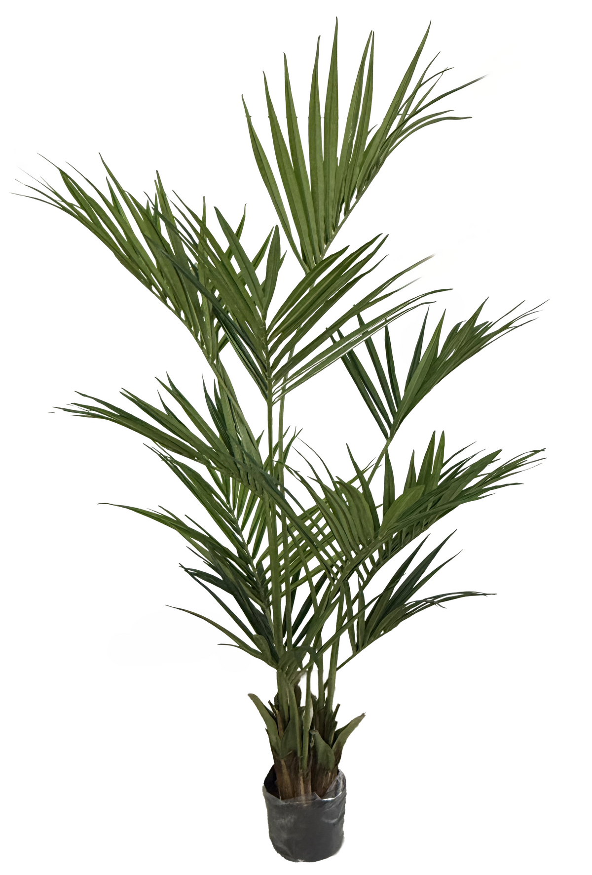 Artificial Kentia Palm (Height: 1.10m, 1.50m , 1.70m & 2.10m) - KEECXP