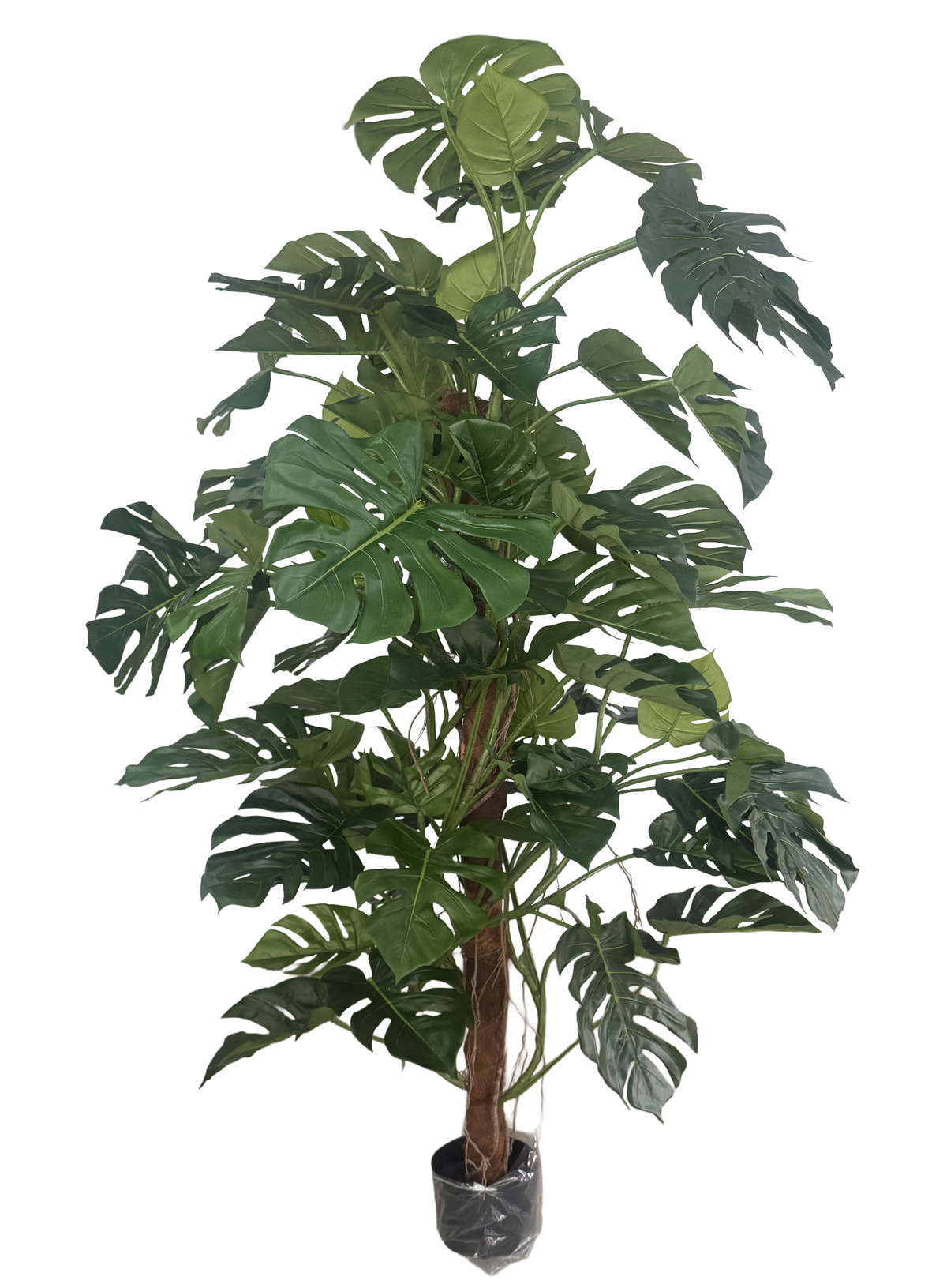 fopamtri artificial monstera deliciosa plant Artificial Monstera Deliciosa Plant (Height: 160cm & 200cm) – S.K Optimus