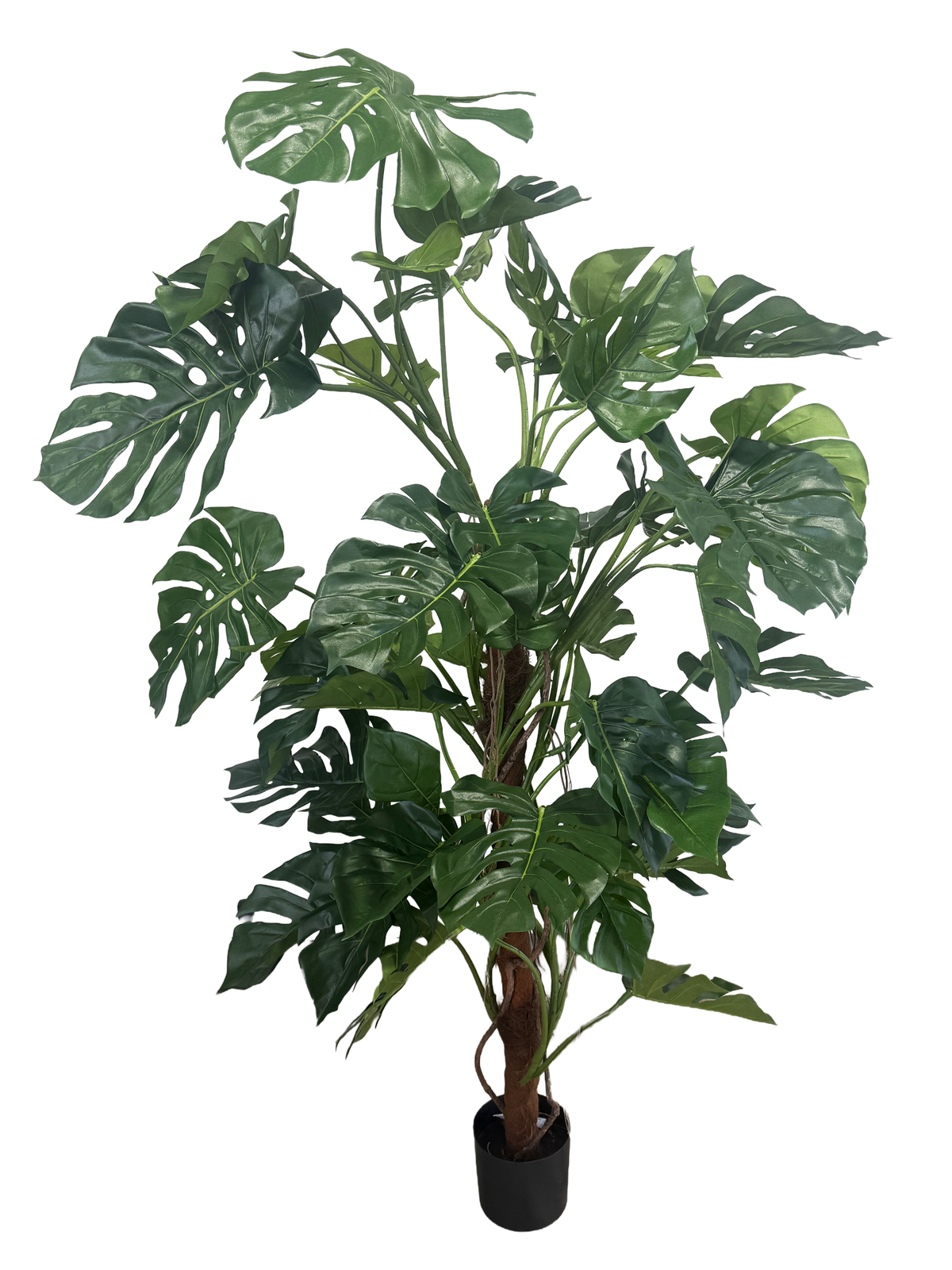 artificial monstera deliciosa plant dubai Artificial Monstera Deliciosa Plant (Height: 160cm & 200cm) – S.K Optimus