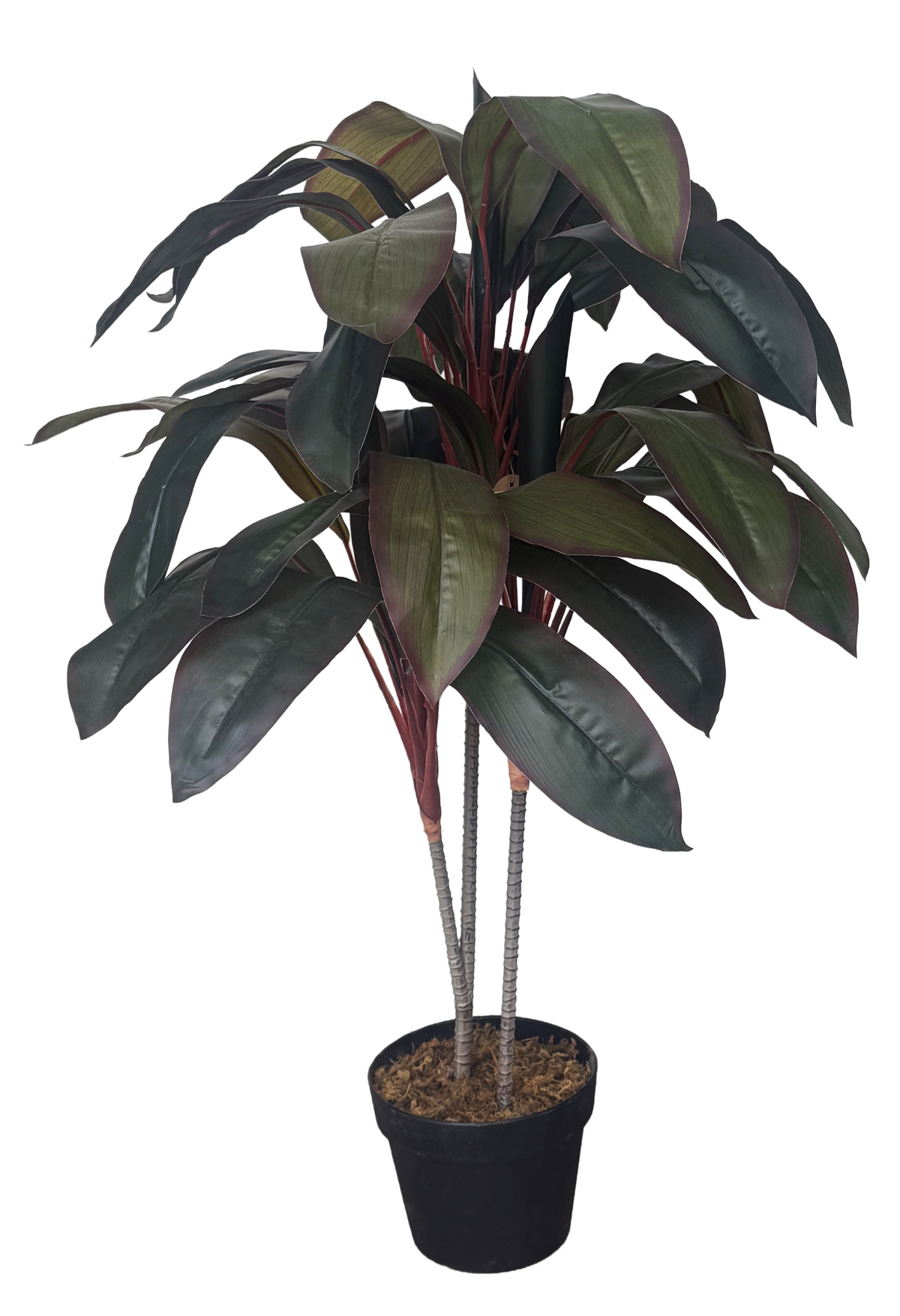Artificial Dracaena Plant (Height: 105cm) - AL15006