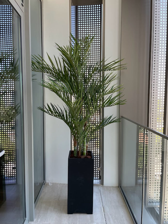 Artificial Areca Palm (Height: 1.20m-2.80M) - ARSL2GB2-384
