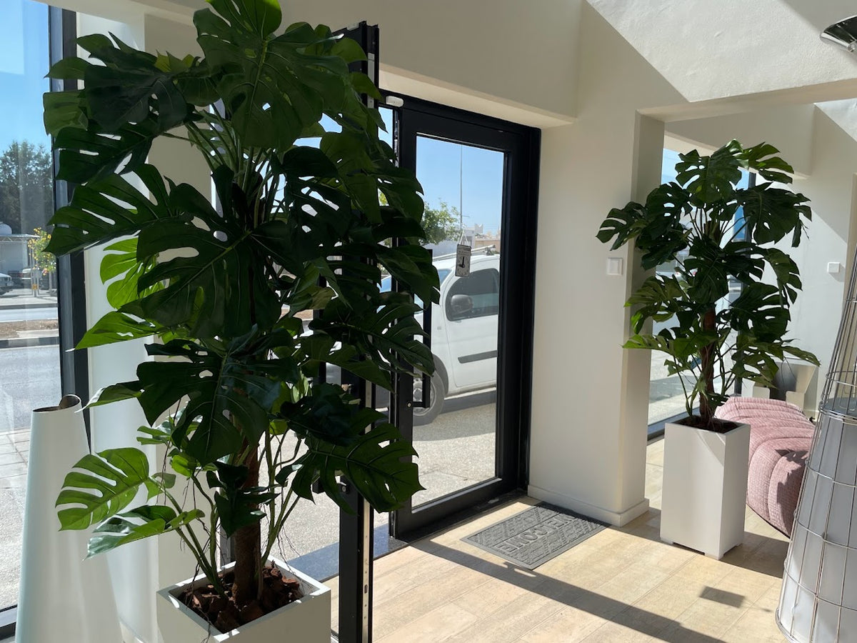 artificial monstera deliciosa plant Artificial Monstera Deliciosa Plant (Height: 160cm & 200cm) – S.K Optimus