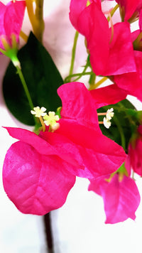 Artificial Hanging Bougainvillea - Fuchsia (Length: 110cm) | HAN0030