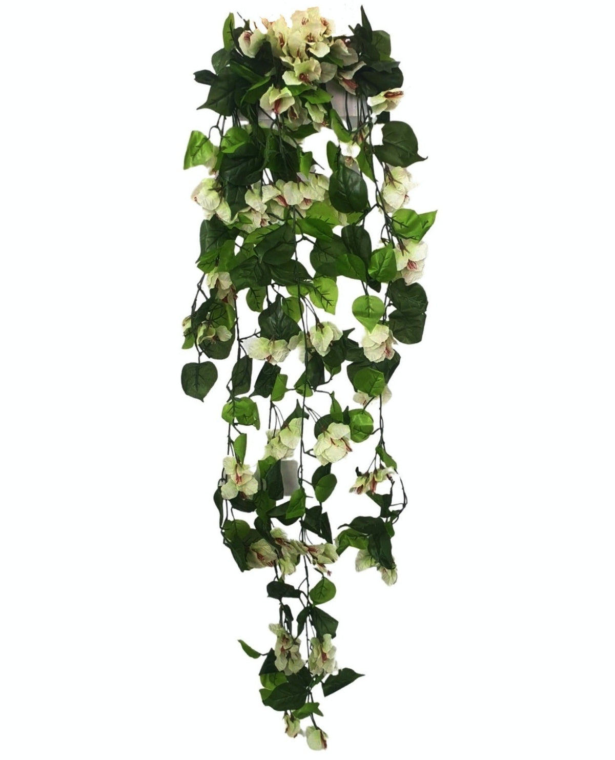 Artificial Hanging Bougainvillea - White (Length: 110cm) | HAN0031