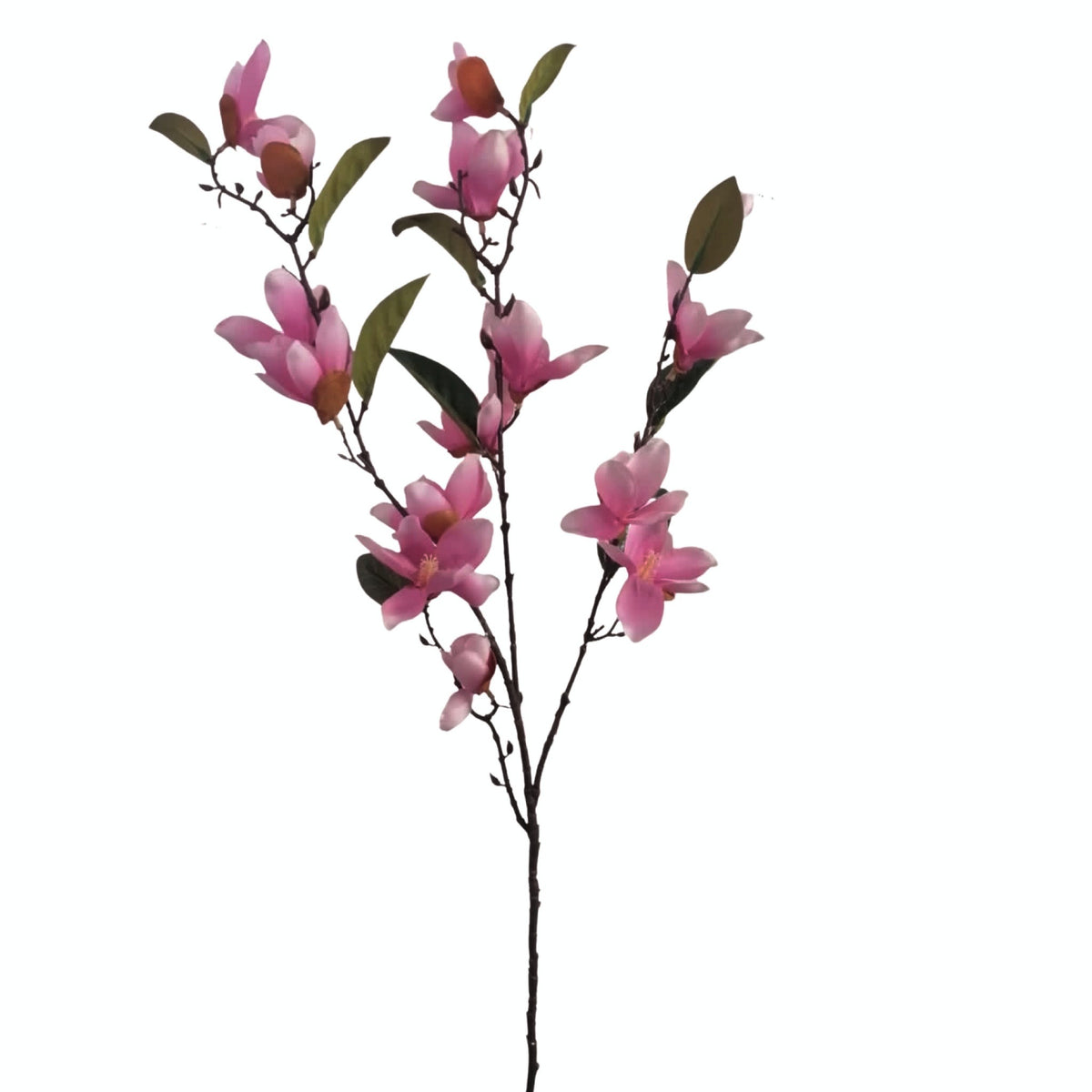 Southern Magnolia Flower - Pink (90cm)| FLR0025