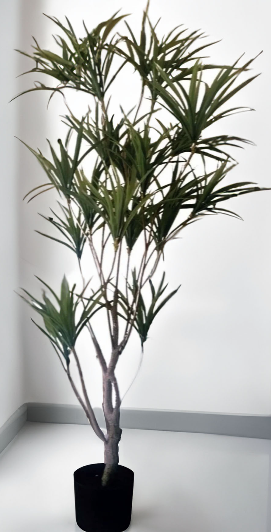 dracaena artificial Artificial Dracaena Plant (Height: 80cm)