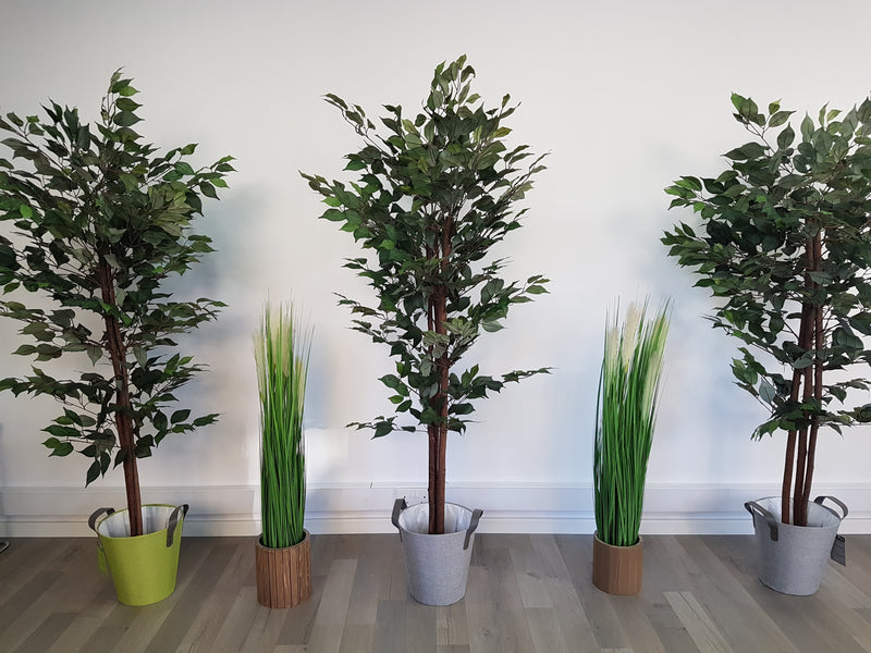 Τεχνητό δέντρο Ficus με φύλλα μετάξι (Ύψος: 150cm / 160cm / 180cm) - 25000-150 / AL15088 / 25001-180
