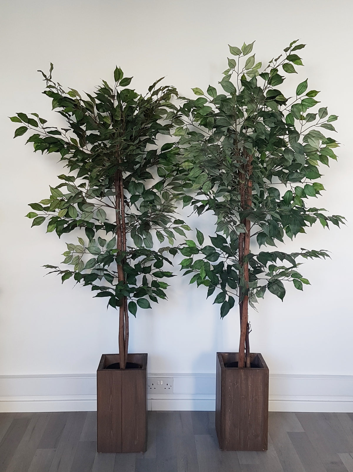 Artificial Ficus Tree with Silk Leaves (Height: 1.55m) - AL15088