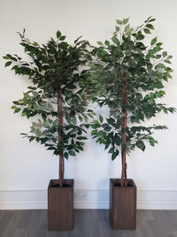 Τεχνητό δέντρο Ficus με φύλλα μετάξι (Ύψος: 150cm / 160cm / 180cm) - 25000-150 / AL15088 / 25001-180