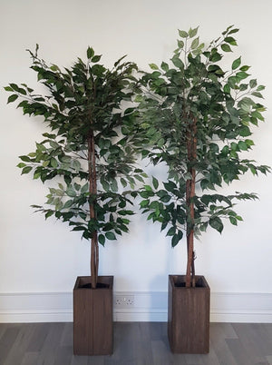 Τεχνητό δέντρο Ficus με φύλλα μετάξι (Ύψος: 150cm / 160cm / 180cm) - 25000-150 / AL15088 / 25001-180