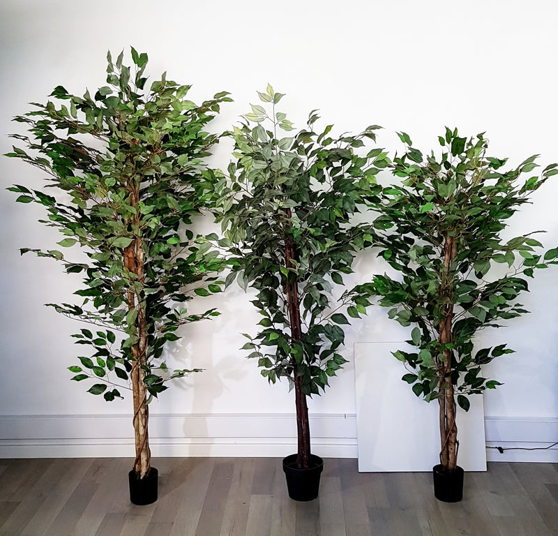 Τεχνητό δέντρο Ficus με φύλλα μετάξι (Ύψος: 150cm / 160cm / 180cm) - 25000-150 / AL15088 / 25001-180